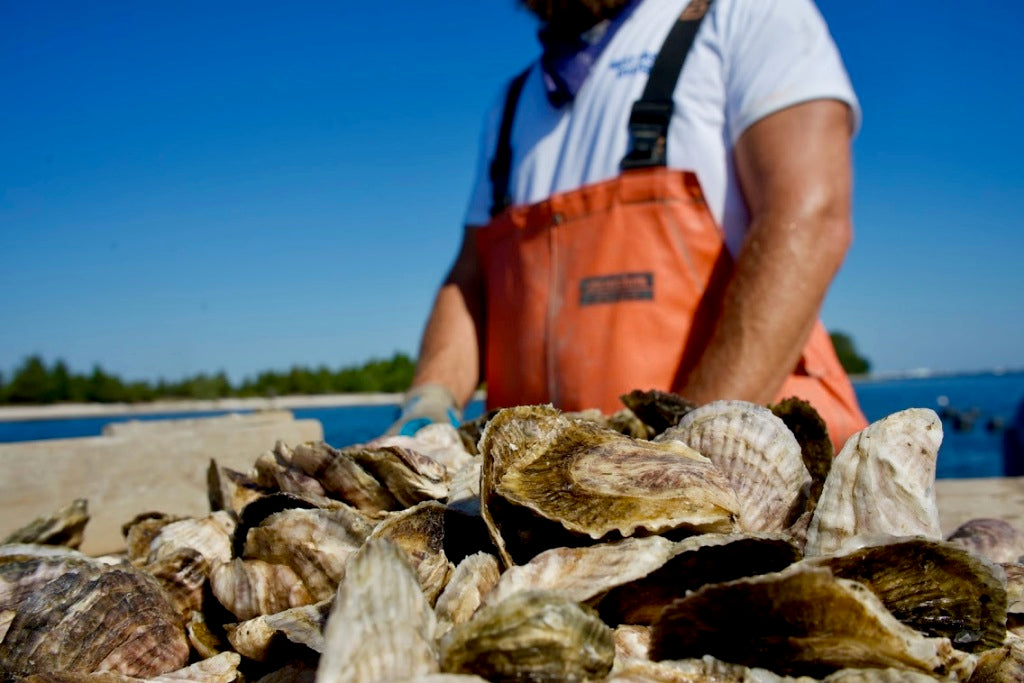 West Passage Oysters Shipped Matunuck Oyster Bar