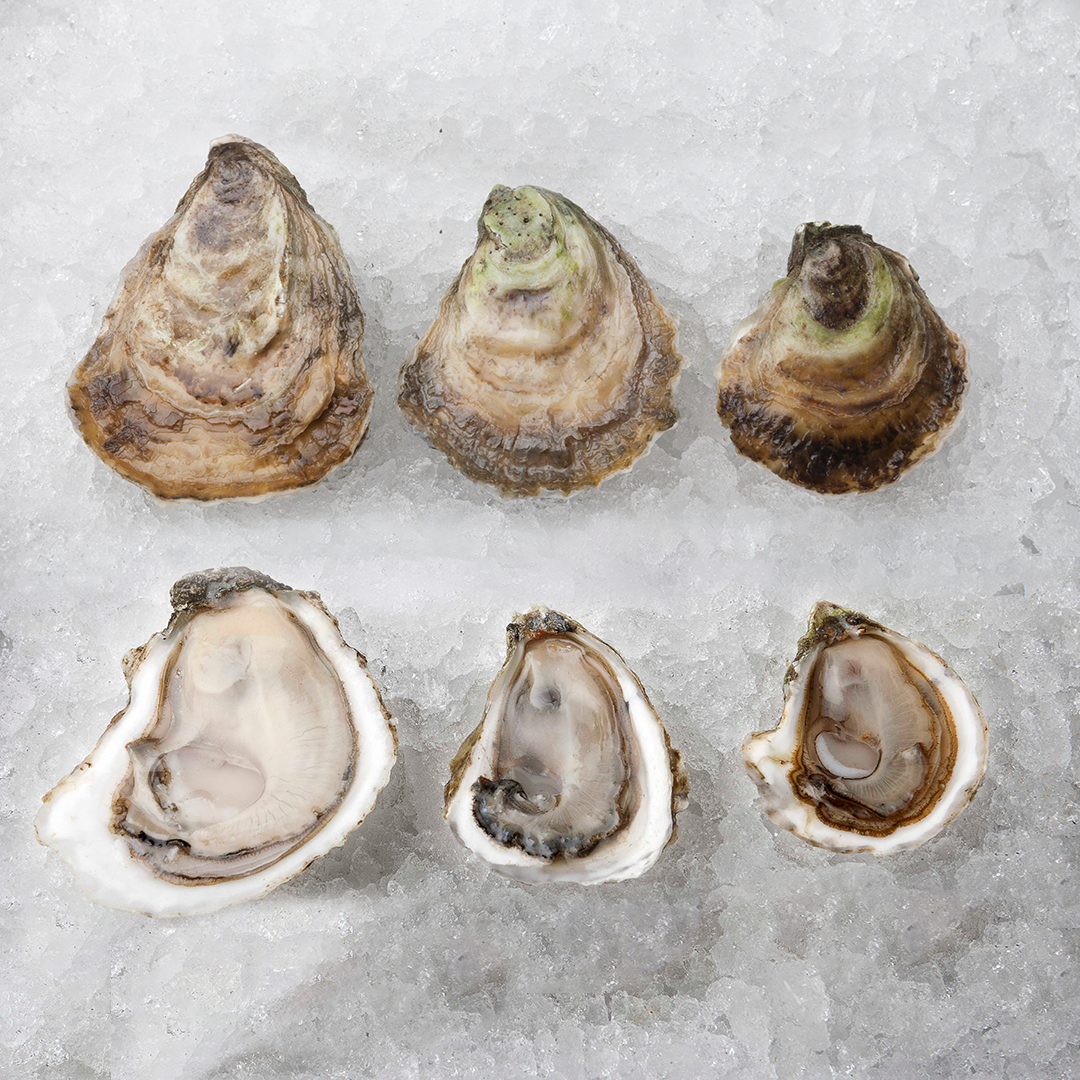 Oyster Sampler (3 Dozen Oysters)