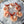 Load image into Gallery viewer, Oyster &amp; Shrimp Sampler (18 Oysters &amp; 6 Shrimp)
