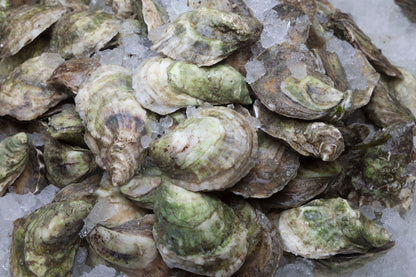 Matunuck Oysters