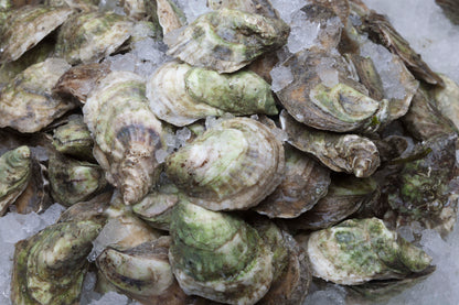 Oyster Starter Kit (3 Dozen Oysters)